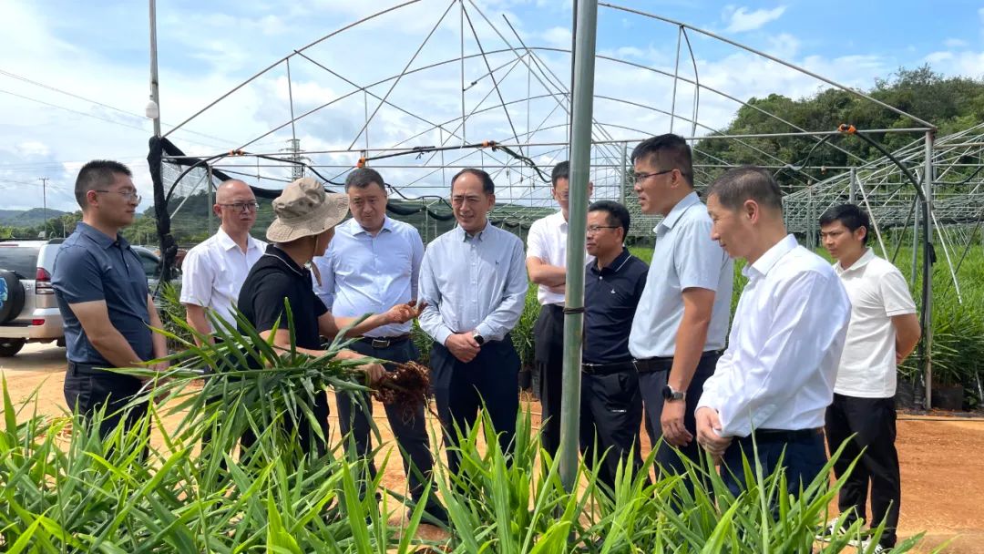 3E8EF36826642BDF6508D9F6734_667D3ED3_273DC.jpg?e=