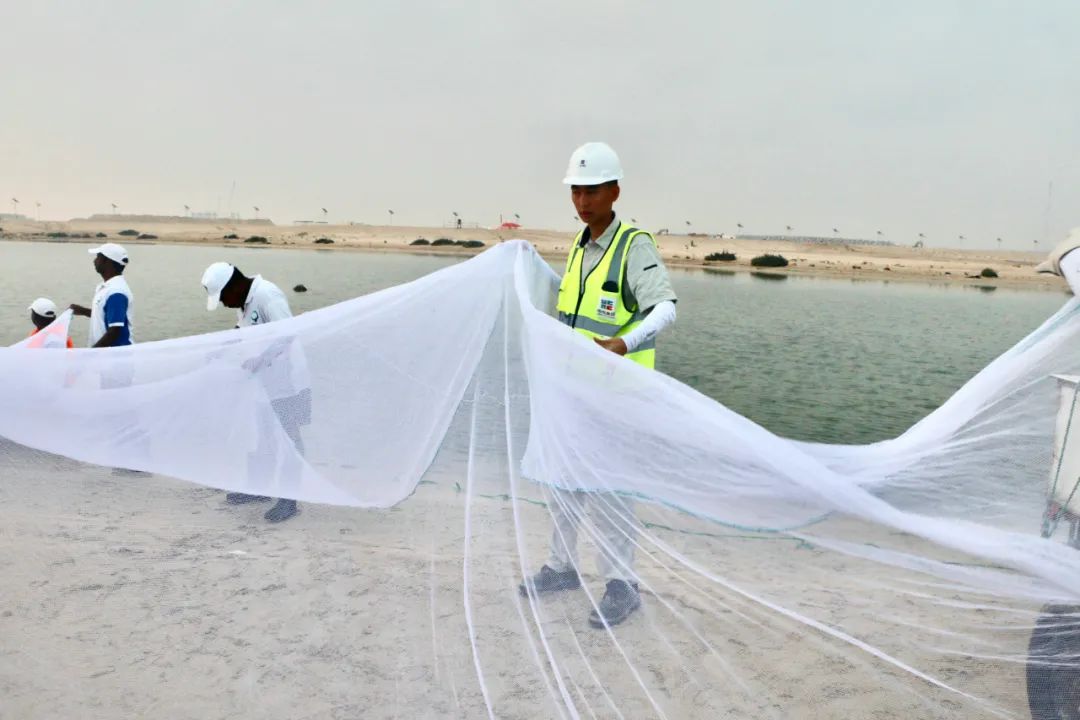 人生就是搏·(中国区)官方网站